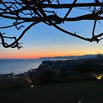Natta Di Monte Tabor *