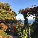 Natta Di Monte Tabor * Celle Ligure