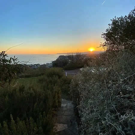 Natta Di Monte Tabor * Celle Ligure