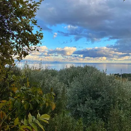 Natta Di Monte Tabor Lantställe Celle Ligure
