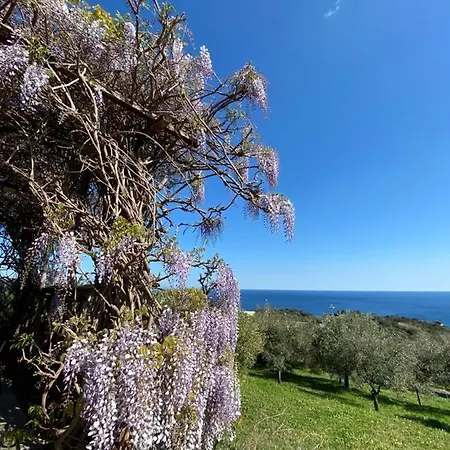 Natta Di Monte Tabor Landhuis Celle Ligure