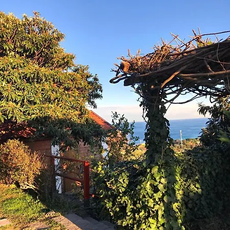 Natta Di Monte Tabor * Celle Ligure