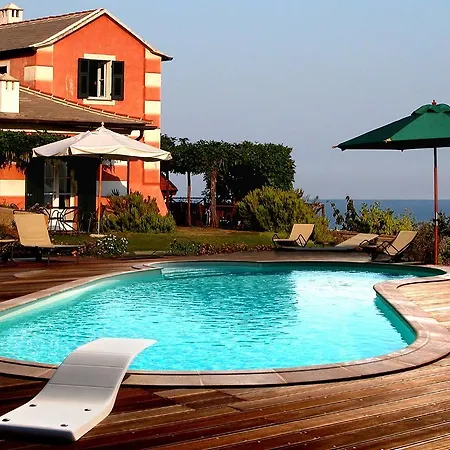 Natta Di Monte Tabor *