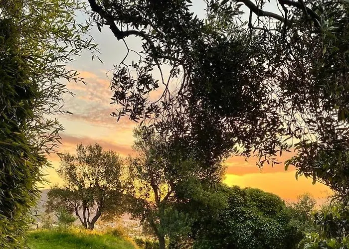 منزل ريفي Agriturismo Natta Di Monte Tabor سيلي ليجور