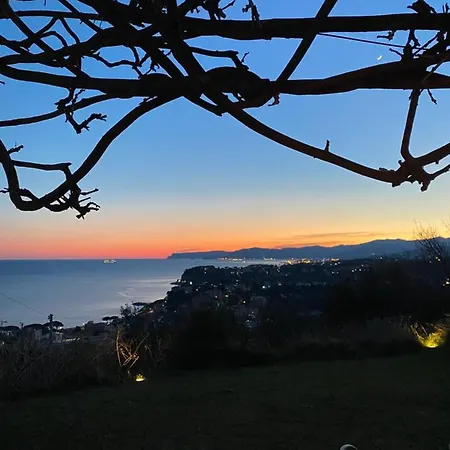 Natta Di Monte Tabor *