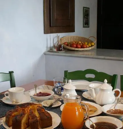 Natta Di Monte Tabor