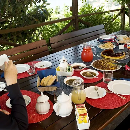 Natta Di Monte Tabor Kır Evi