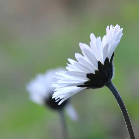 Natta Di Monte Tabor カントリーハウス *
