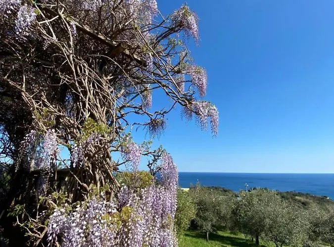 Natta Di Monte Tabor Casa di campagna Celle Ligure