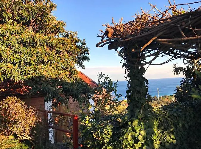 Natta Di Monte Tabor * Celle Ligure