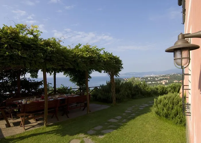 Natta Di Monte Tabor Celle Ligure